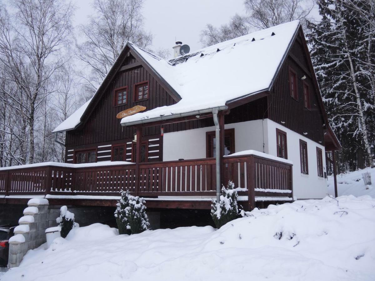 Vakantie Huis Dum Oenter Villa Lučany nad Nisou Dış mekan fotoğraf